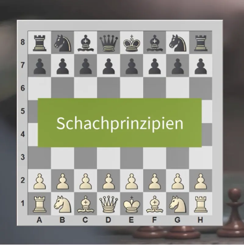 Schachprinzipien
